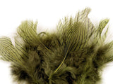 Khaki Green pheasant feathers