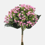 Gypsophila bouquet pink Ireland
