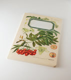 Botanical Notebook – Rowan Tree
