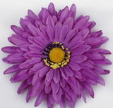 Gerbera Purple