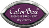 Clearsnap ColorBox Pigment Ink Cat's Eye Boysenberry Ireland
