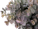 Artificial Eucalyptus Violet/Green