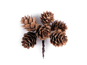 Pine Cones on Wire for Arranging