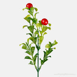 Bilberry bunch with red berries
