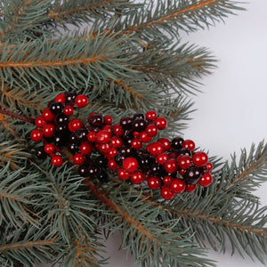 Red and black berries