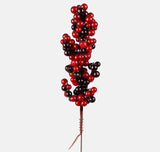 Red and black berries on stem