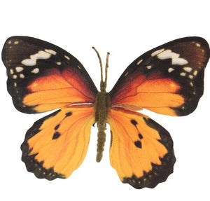 Orange and black butterfly on a clip