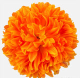 Artificial Chrysanthemum - Orange