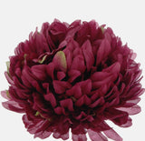Chrysanthemum dark burgundy