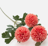 Chrysanthemum Balls on a long stem - coral colour