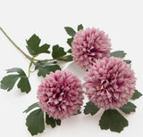 Chrysanthemum Balls on a long stem - dusky pink colour