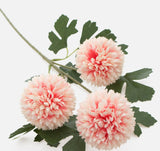 Chrysanthemum Balls on a long stem - pale pink colour