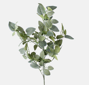 Leafy branch