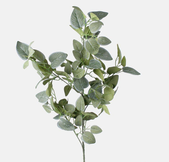 Leafy branch