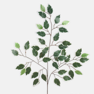 Artificial Ficus branch Ireland