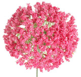 Garlic Flower head - pink colour