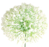 Garlic Flower head - white colour