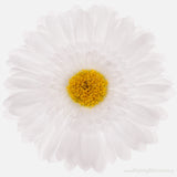 Pack of 4 Gerbera Flower Heads - 4 colours available