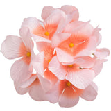 Hydrangea head - peachy pink colour