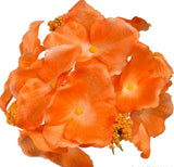 Artificial Hydrangea Flower head with pistils deep orange colour