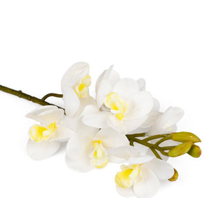 Artificial Orchid Autumn White