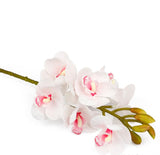 Artificial Orchid white & pink