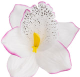 Artificial Orchid Flower Head white with purple edge
