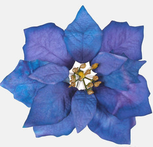Velvet Poinsettia in navy blue and red