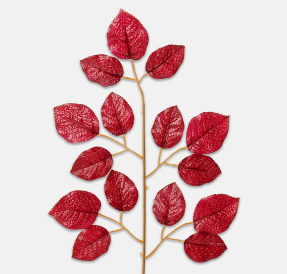 Rose leaves on a branch colour red