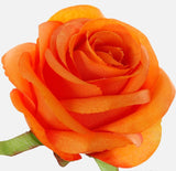 Rose Bud flower heads Vibrant orange