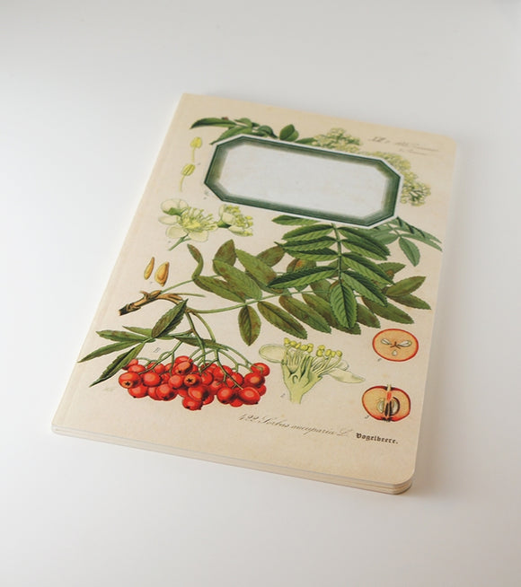 Botanical Notebook – Rowan Tree