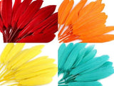 Decorative duck feathers - 15 colours