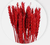 Red wheat