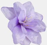 Pack of 6 Amaryllis Flower Heads - 3 Colours