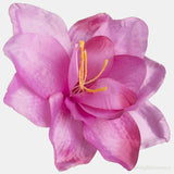 Pack of 6 Amaryllis Flower Heads - 3 Colours
