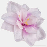 Pack of 6 Amaryllis Flower Heads - 3 Colours