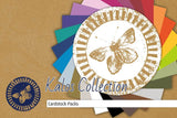 Aurelie Kalos Collection Paper Pack 12x12 Inch