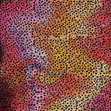 Cricut Infusible Ink Transfer Sheet Patterns Rainbow Cheetah