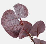 Close up of burgundy leaf