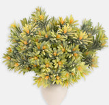 Spurge foliage and light orange flower